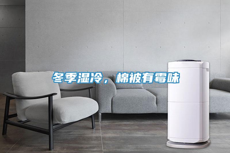 冬季濕冷，棉被有霉味