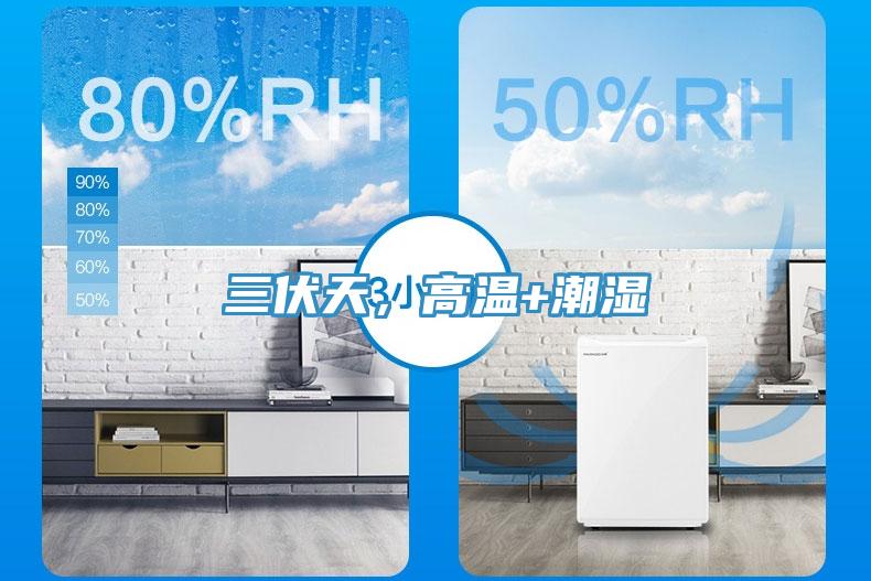 三伏天，高溫+潮濕