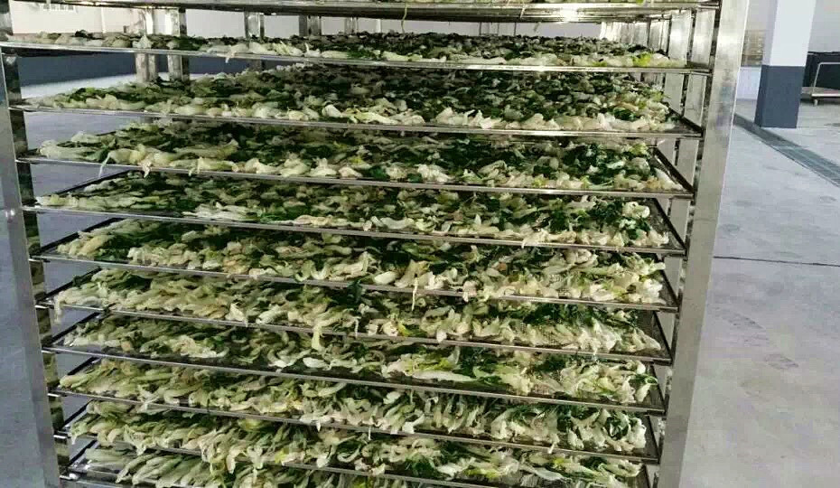 菜干需求一直都很大，蔬菜烘干機(jī)很有市場