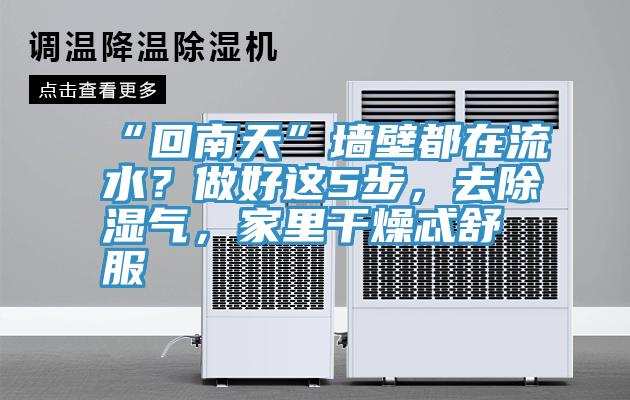 “回南天”墻壁都在流水？做好這5步，去除濕氣，家里干燥忒舒服