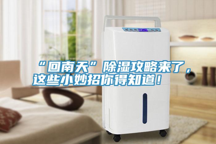 “回南天”除濕攻略來了，這些小妙招你得知道！