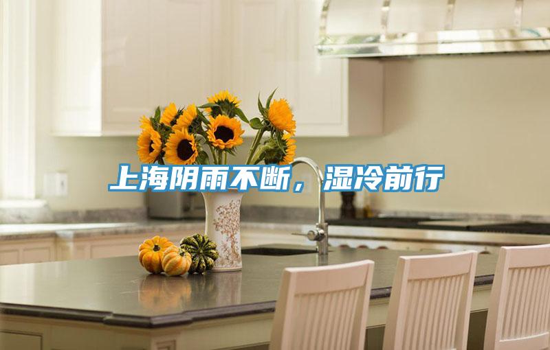 上海陰雨不斷，濕冷前行