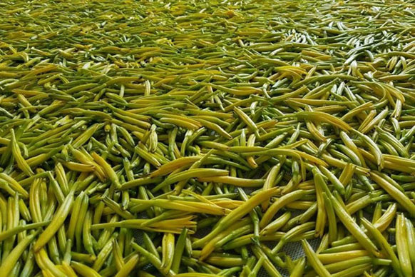 無硫金針菜烘干如何保持品相？不發(fā)黑？_除濕機(jī)廠家