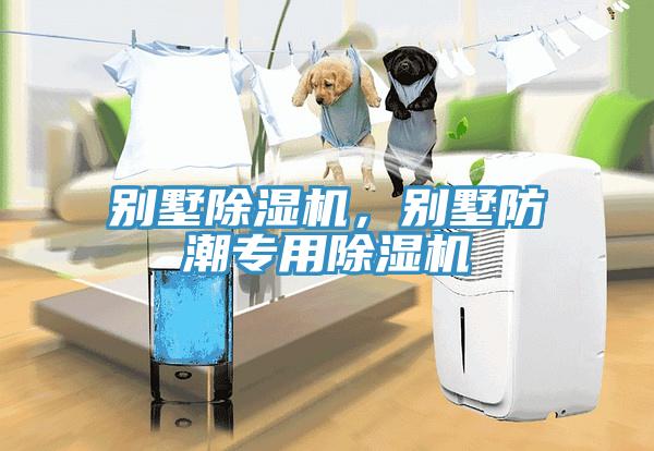 別墅除濕機，別墅防潮專用除濕機