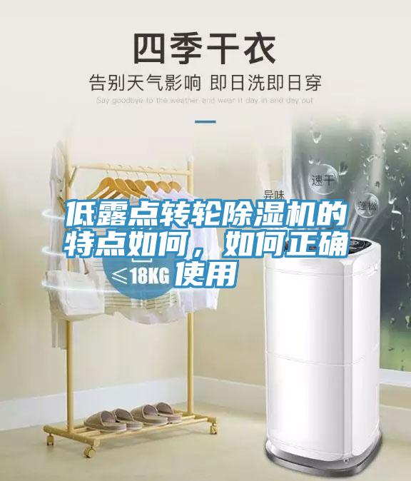 低露點轉(zhuǎn)輪除濕機的特點如何，如何正確使用