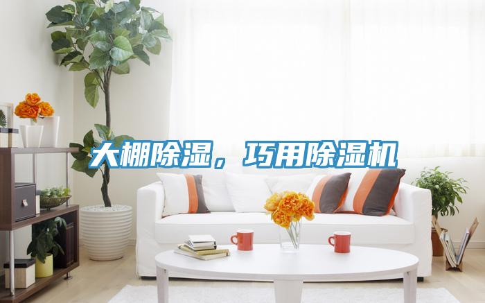 大棚除濕，巧用除濕機