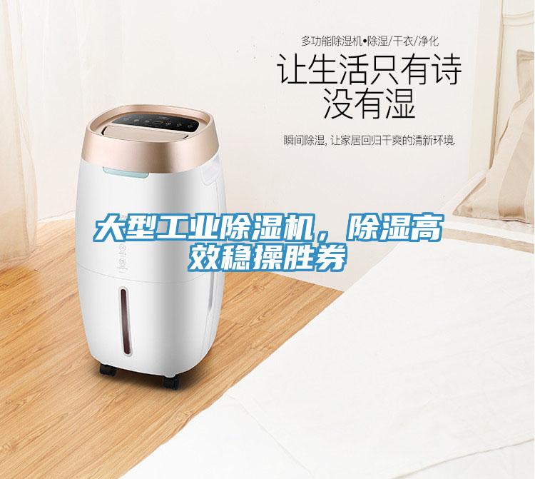 大型工業(yè)除濕機(jī)，除濕高效穩(wěn)操勝券