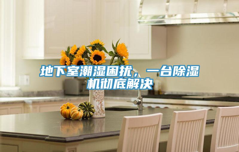 地下室潮濕困擾，一臺除濕機徹底解決
