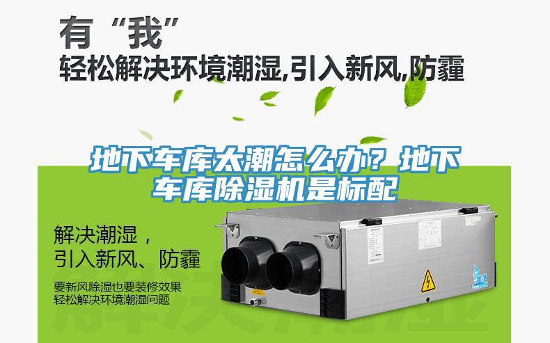 地下車庫太潮怎么辦？地下車庫除濕機(jī)是標(biāo)配