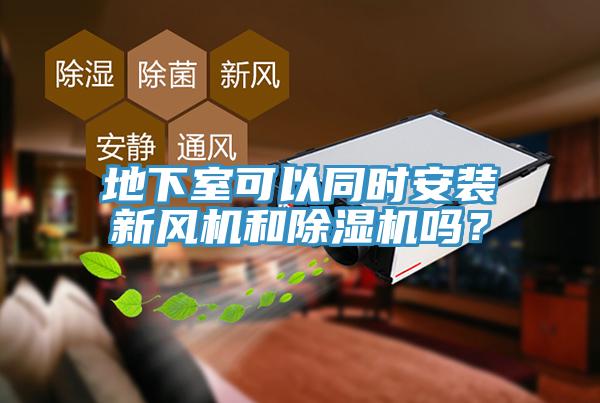 地下室可以同時安裝新風機和除濕機嗎？