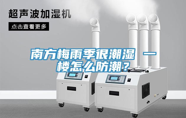 南方梅雨季很潮濕 一樓怎么防潮？