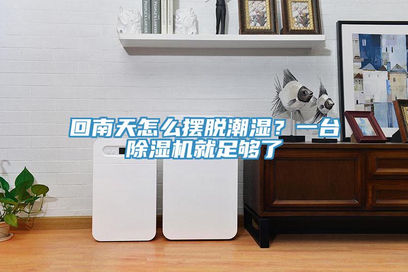 回南天怎么擺脫潮濕？一臺(tái)除濕機(jī)就足夠了