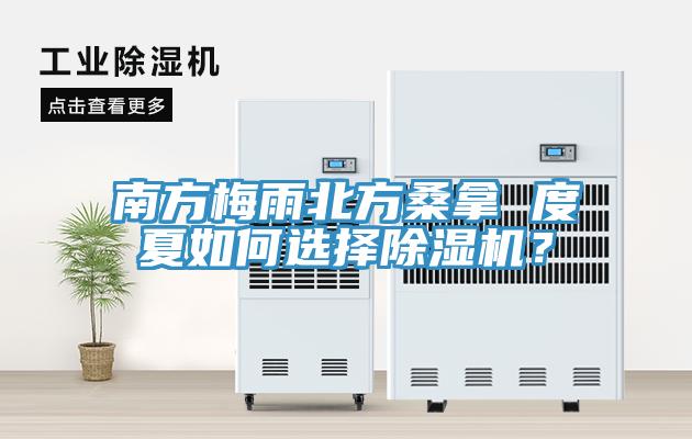 南方梅雨北方桑拿 度夏如何選擇除濕機？