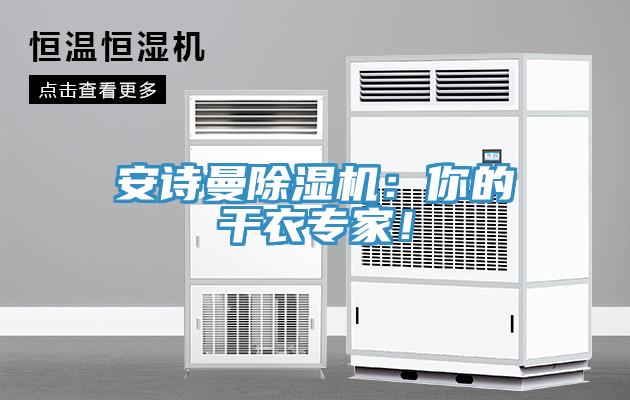 安詩曼除濕機：你的干衣專家！