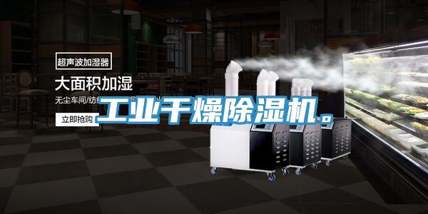 工業(yè)干燥除濕機(jī)。