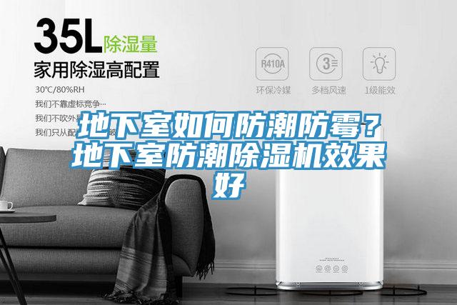 地下室如何防潮防霉？地下室防潮除濕機(jī)效果好