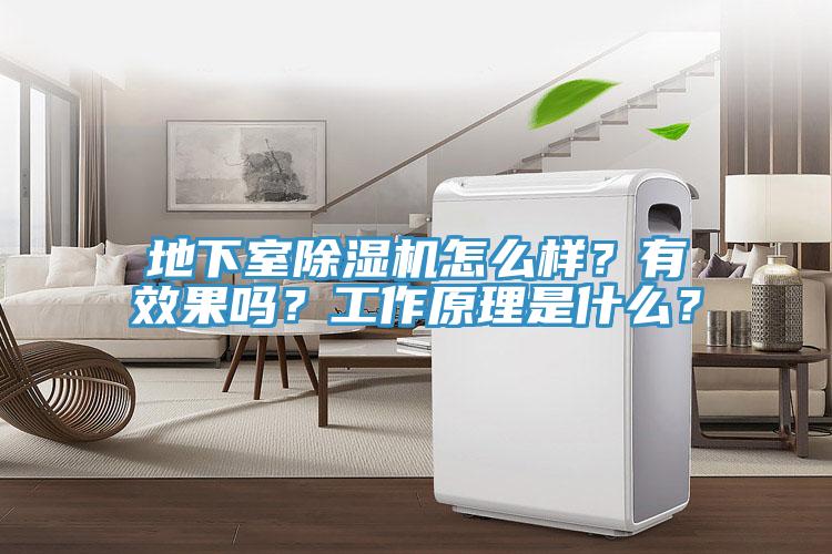 地下室除濕機(jī)怎么樣？有效果嗎？工作原理是什么？