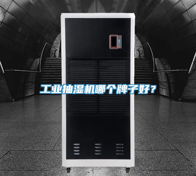 工業(yè)抽濕機(jī)哪個牌子好？