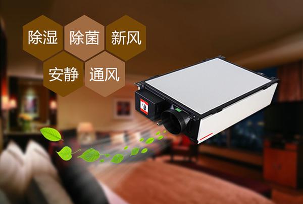 廈門除濕機怎么選？