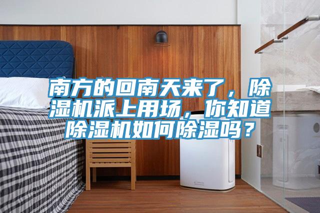 南方的回南天來了，除濕機派上用場，你知道除濕機如何除濕嗎？