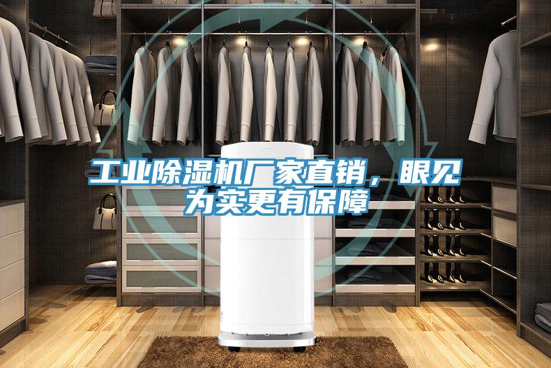 工業(yè)除濕機廠家直銷，眼見為實更有保障