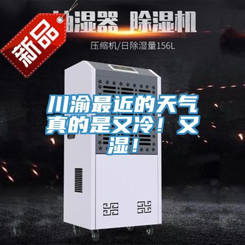 川渝最近的天氣真的是又冷！又濕！