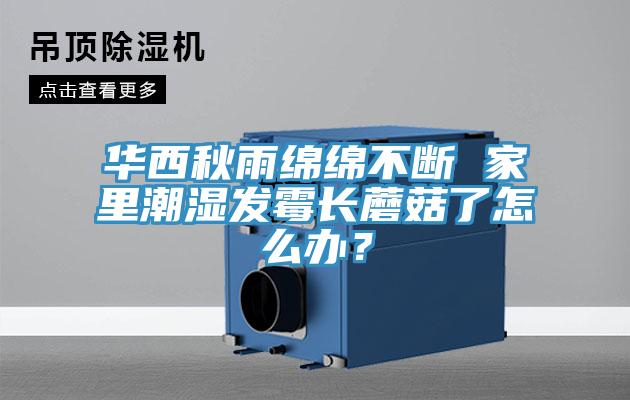 華西秋雨綿綿不斷 家里潮濕發(fā)霉長蘑菇了怎么辦？