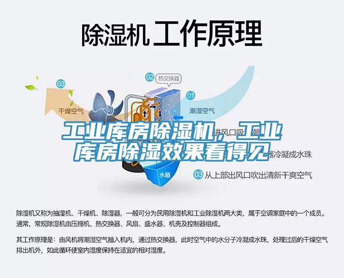 工業(yè)庫(kù)房除濕機(jī)，工業(yè)庫(kù)房除濕效果看得見(jiàn)
