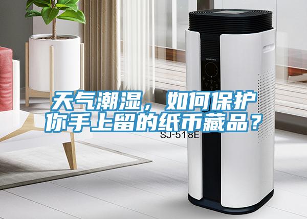 天氣潮濕，如何保護(hù)你手上留的紙幣藏品？