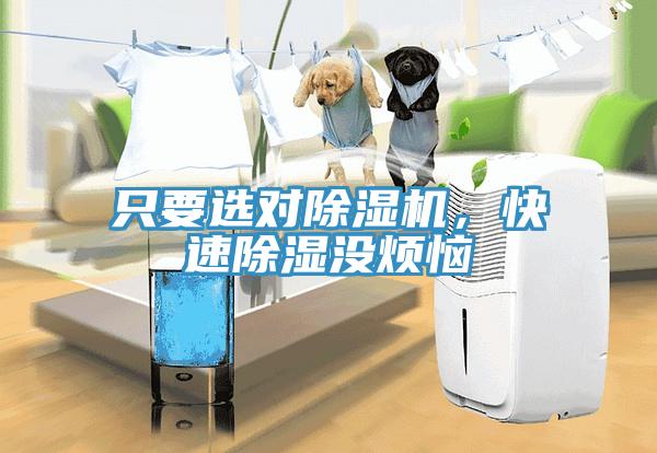 只要選對除濕機(jī)，快速除濕沒煩惱