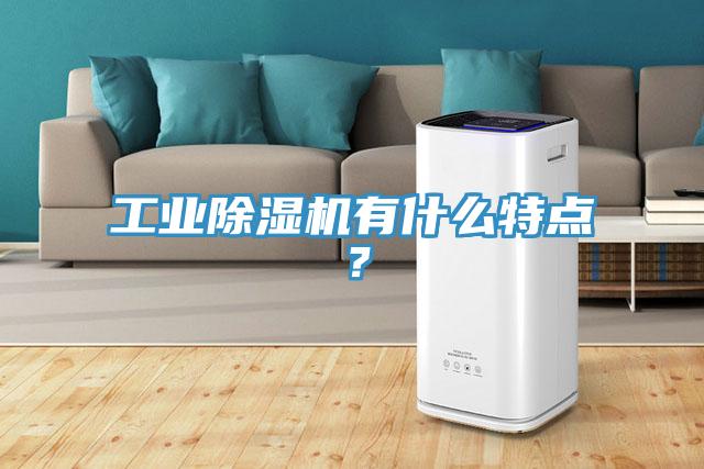 工業(yè)除濕機(jī)有什么特點(diǎn)？