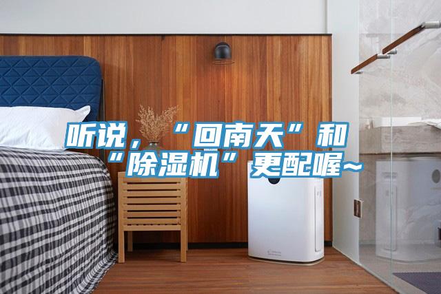 聽說，“回南天”和“除濕機(jī)”更配喔~