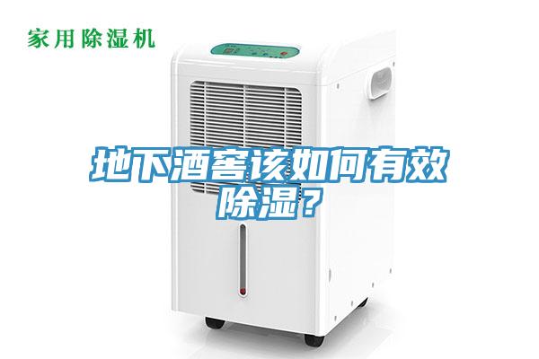地下酒窖該如何有效除濕？