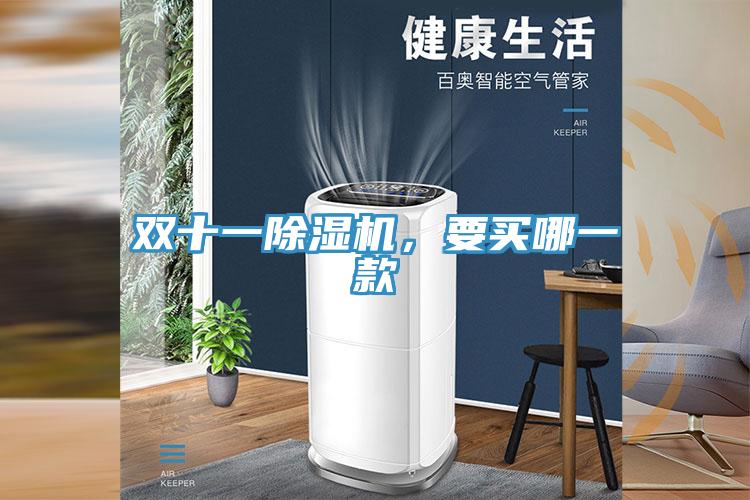雙十一除濕機(jī)，要買哪一款