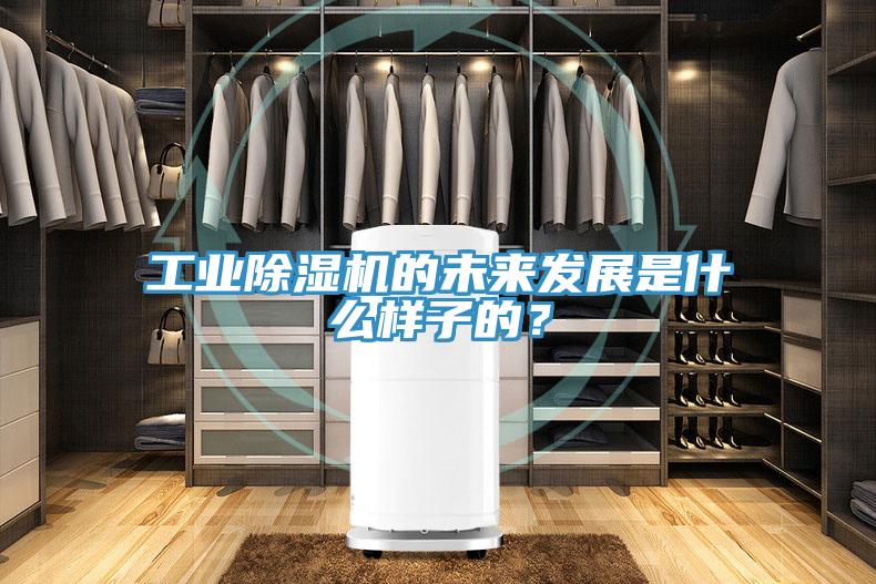 工業(yè)除濕機的未來發(fā)展是什么樣子的？