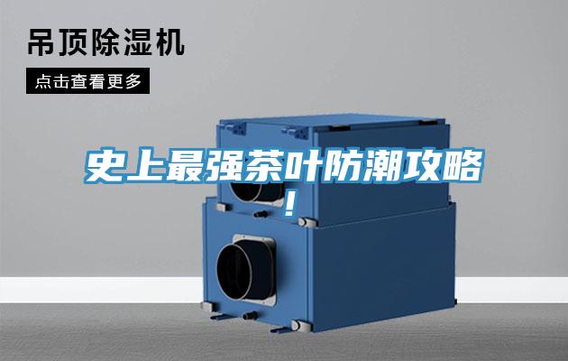 史上最強茶葉防潮攻略！
