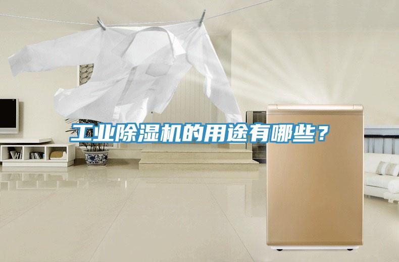 工業(yè)除濕機(jī)的用途有哪些？