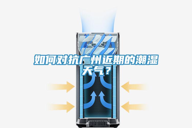 如何對(duì)抗廣州近期的潮濕天氣？
