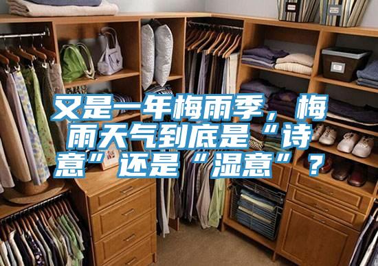 又是一年梅雨季，梅雨天氣到底是“詩意”還是“濕意”？