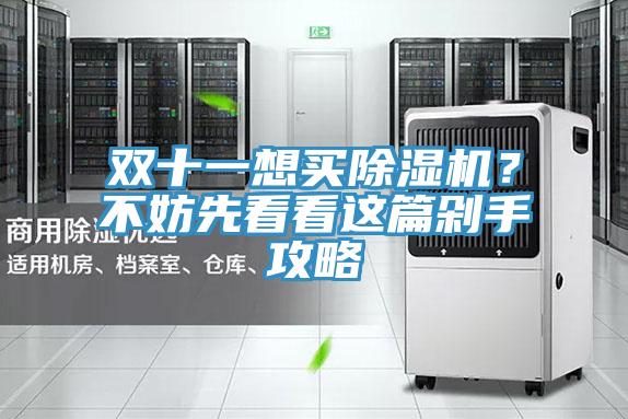 雙十一想買除濕機(jī)？不妨先看看這篇剁手攻略