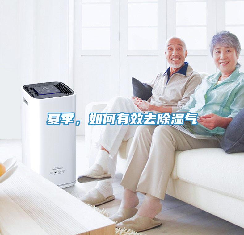 夏季，如何有效去除濕氣