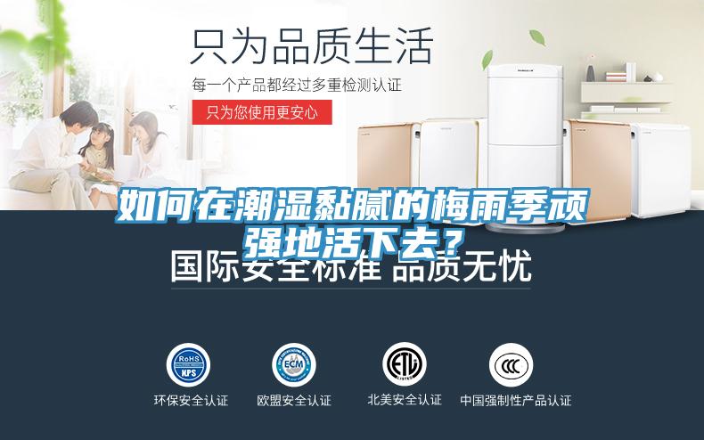 如何在潮濕黏膩的梅雨季頑強地活下去？