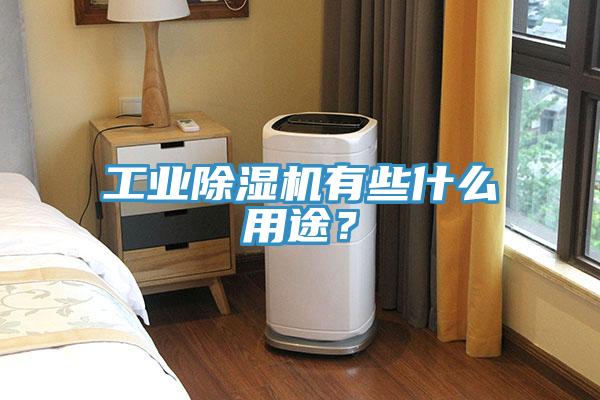 工業(yè)除濕機(jī)有些什么用途？