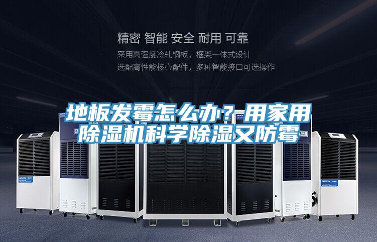 地板發(fā)霉怎么辦？用家用除濕機科學除濕又防霉