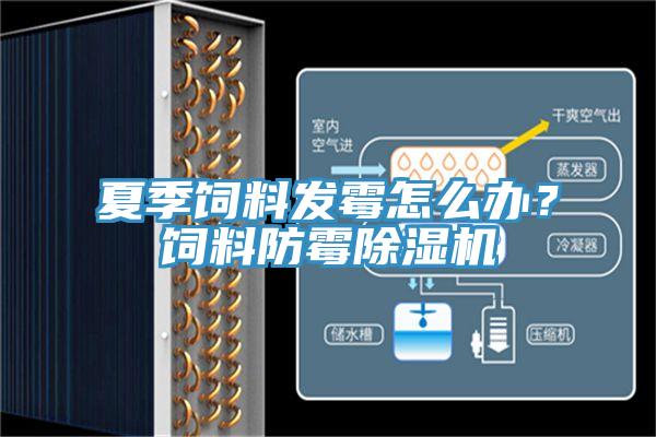 夏季飼料發(fā)霉怎么辦？飼料防霉除濕機
