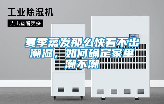 夏季蒸發(fā)那么快看不出潮濕，如何確定家里潮不潮