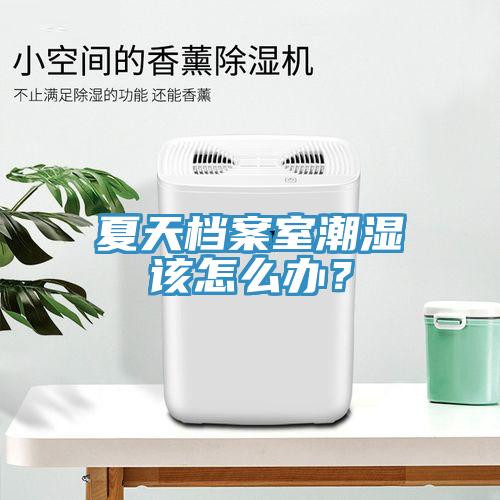 夏天檔案室潮濕該怎么辦？