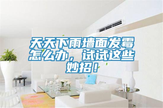 天天下雨墻面發(fā)霉怎么辦，試試這些妙招！