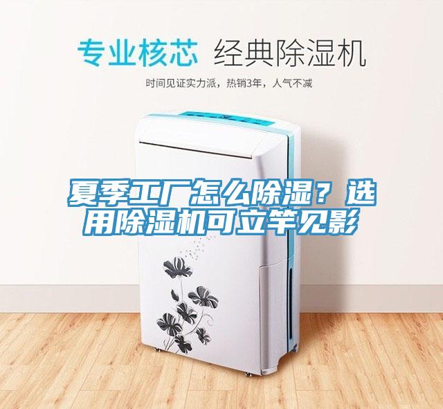 夏季工廠怎么除濕？選用除濕機可立竿見影