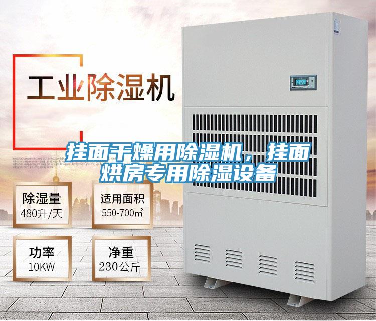 掛面干燥用除濕機，掛面烘房專用除濕設備